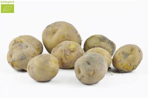 GROENTE/FR.Aardappels Bio Kruimig 2kg