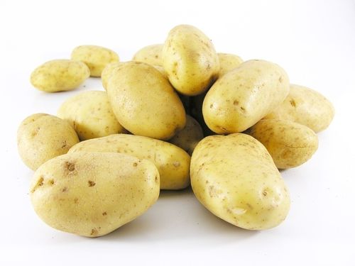 GROENTE/FR.Aardappelen Nicola Zak 5kg