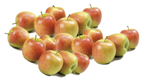 GROENTE/FR.Appels Delcorf/Delba 3kg