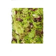 GROENTE/FR Salade Bont ZAK 1kg