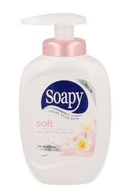 REIN.Soapy Soft Tray/Pomp 3x330ml.